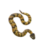 Blue Ocean Planet WOW Toxic Creatures | Figur 06: Puffotter