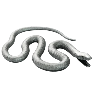 Blue Ocean Planet WOW Toxic Creatures | Figur 08: Schwarze Mamba