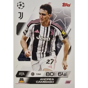 KARTE 265 ANDREA CAMBIASO