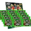 Panini PDC Darts 2026 Stickeralbum + 15 Tüten | 75 Sticker | Sammler-Bundle