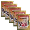Panini Frauen Bundesliga 2025/26 Sticker 5 Tüten
