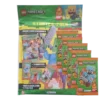 LEGO Minecraft Serie 3 On Fire Trading Cards Bundle | Starterpack + 5 Booster