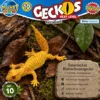 Satanischer Blattschwanzgecko Uroplatus phantasticus im Lebensraum