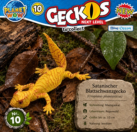 Satanischer Blattschwanzgecko Uroplatus phantasticus im Lebensraum