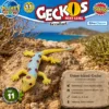 Union-Island-Gecko Gonatodes daudini im natürlichen Lebensraum
