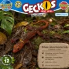 Gonatodes ceciliae im natürlichen Lebensraum