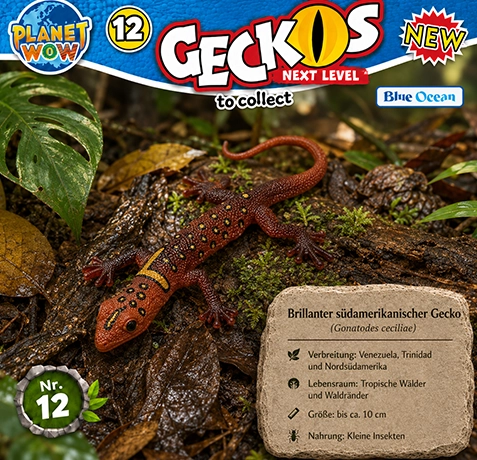 Gonatodes ceciliae im natürlichen Lebensraum