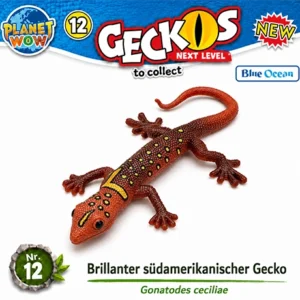 Gonatodes ceciliae Nr. 12 Special Colour