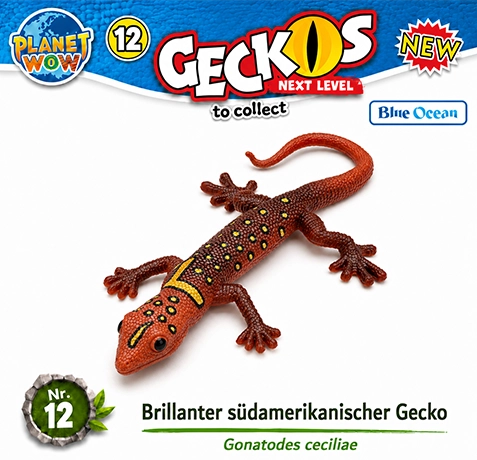 Gonatodes ceciliae Nr. 12 Special Colour
