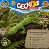 Auckland-Grüngecko Naultinus elegans im natürlichen Lebensraum