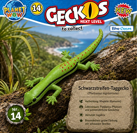Schwarzstreifen-Taggecko Phelsuma nigristriata im natürlichen Lebensraum