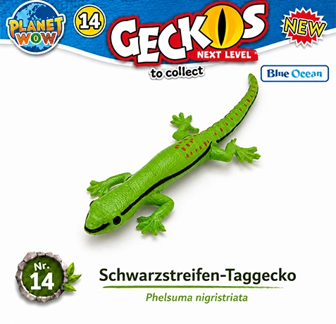 Schwarzstreifen-Taggecko Nr. 14 Special Colour