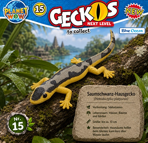 Saumschwanz-Hausgecko Hemidactylus platyurus im natürlichen Lebensraum