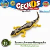 Saumschwanz-Hausgecko Nr. 15 PLANET WOW Geckos Next Level