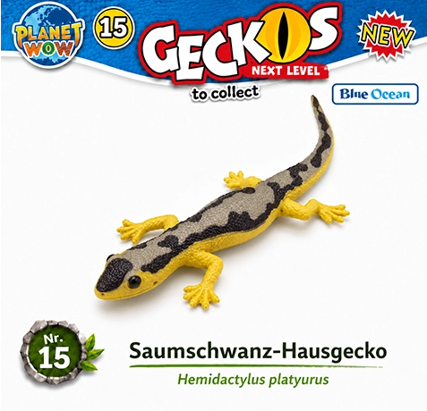 Saumschwanz-Hausgecko Nr. 15 PLANET WOW Geckos Next Level