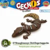 Geckolepis megalepis Nr. 17 PLANET WOW Geckos Next Level