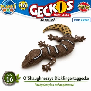 Geckolepis megalepis Nr. 17 PLANET WOW Geckos Next Level