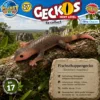 Geckolepis megalepis im natürlichen Lebensraum auf Madagaskar