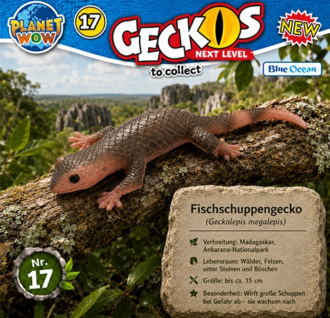 Geckolepis megalepis im natürlichen Lebensraum auf Madagaskar