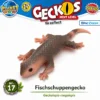 Geckolepis megalepis Nr. 17 PLANET WOW Geckos Next Level