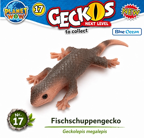 Geckolepis megalepis Nr. 17 PLANET WOW Geckos Next Level