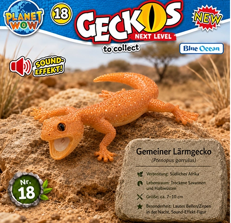 Gemeiner Lärmgecko Ptenopus garrulus im natürlichen Lebensraum