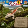Höckerkopfgecko Rhacodactylus auriculatus im natürlichen Lebensraum