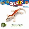 Höckerkopfgecko Nr. 19 PLANET WOW Geckos Next Level