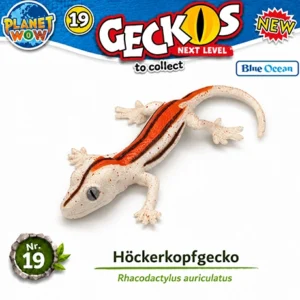 Höckerkopfgecko Nr. 19 PLANET WOW Geckos Next Level
