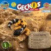Leopardgecko Nr. 1 im trockenen Felslebensraum mit Informationen zur Gecko-Art