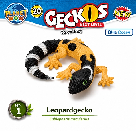 Leopardgecko Nr. 1 im natürlichen Lebensraum mit Informationen zu Verbreitung und Lebensweise