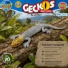 Gelbkopf-Zwerggecko Lygodactylus picturatus im natürlichen Lebensraum