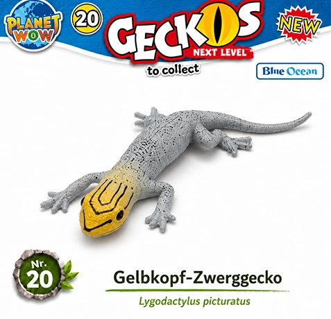 Gelbkopf-Zwerggecko Nr. 20 PLANET WOW Geckos Next Level