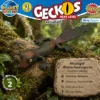 Moosiger Blattschwanzgecko Nr. 2 im Wildnisdesign