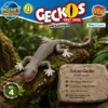 Tokay-Gecko Nr. 4 im tropischen Wildnisdesign
