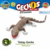 PLANET WOW Geckos Next Level Tokay-Gecko Nr. 4 als BIG-Figur