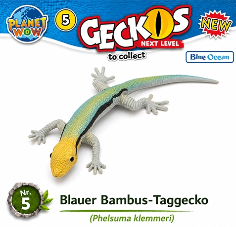 Blauer Bambus-Taggecko Nr. 5 im tropischen Lebensraum