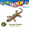Transvaal-Felsgecko Nr. 6 mit Metallic-Effekt