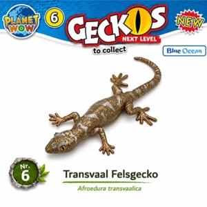 Transvaal-Felsgecko Nr. 6 mit Metallic-Effekt