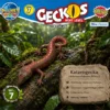 Katzengecko Nr. 7 im natürlichen Lebensraum