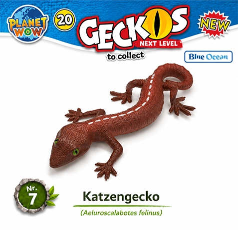 Katzengecko Nr. 7 im natürlichen Lebensraum