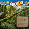 Gestreifter Blattschwanzgecko Uroplatus lineatus im Lebensraum