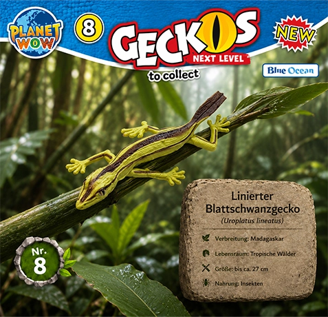 Gestreifter Blattschwanzgecko Nr. 8 Produktansicht