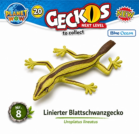 Gestreifter Blattschwanzgecko Nr. 8 im natürlichen Lebensraum