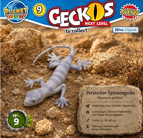 Persischer Spinnengecko Agamura persica im trockenen Lebensraum