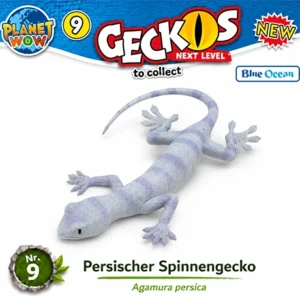 Persischer Spinnengecko Nr. 9 Special Shape