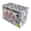 Panini INTL DFB Germany 2026 Trading Cards Blaster Box